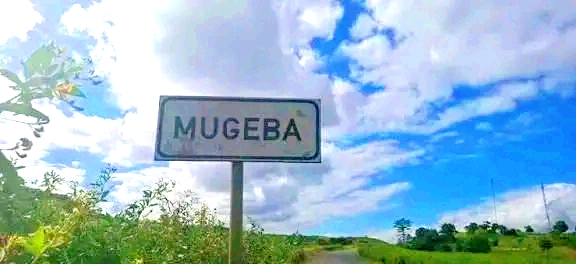 1000455312.jpg