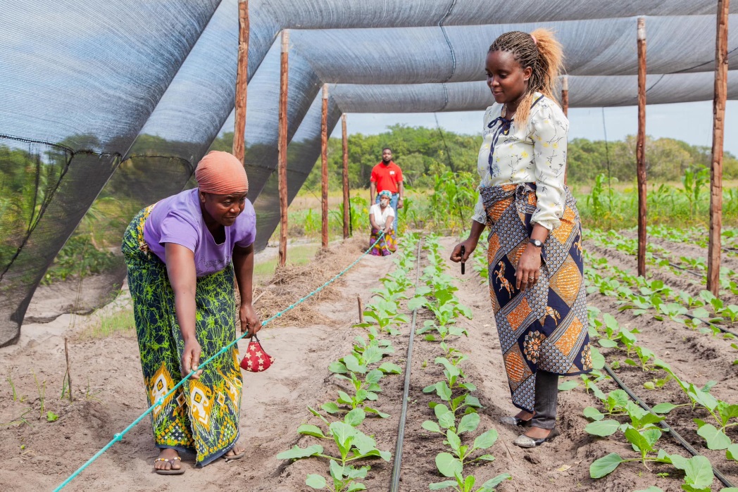 Mocambique e italia fortalecem parceria no sector agrario.jpg
