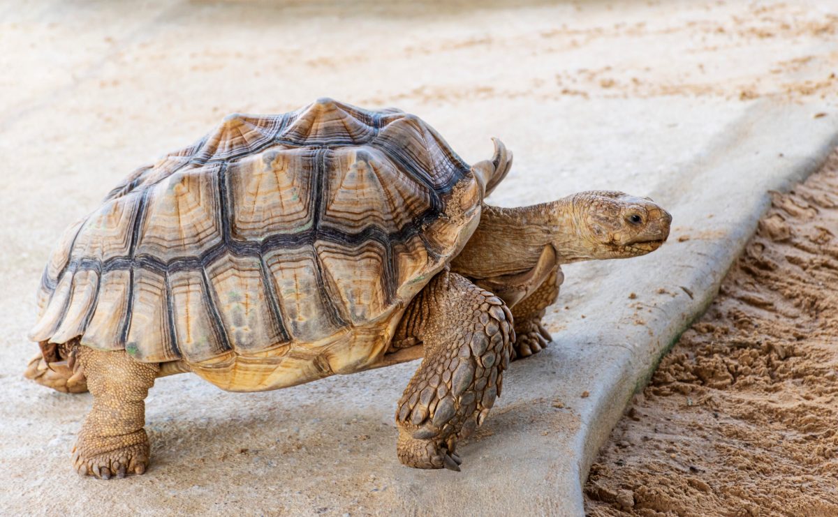 1000673383 scaled.jpg