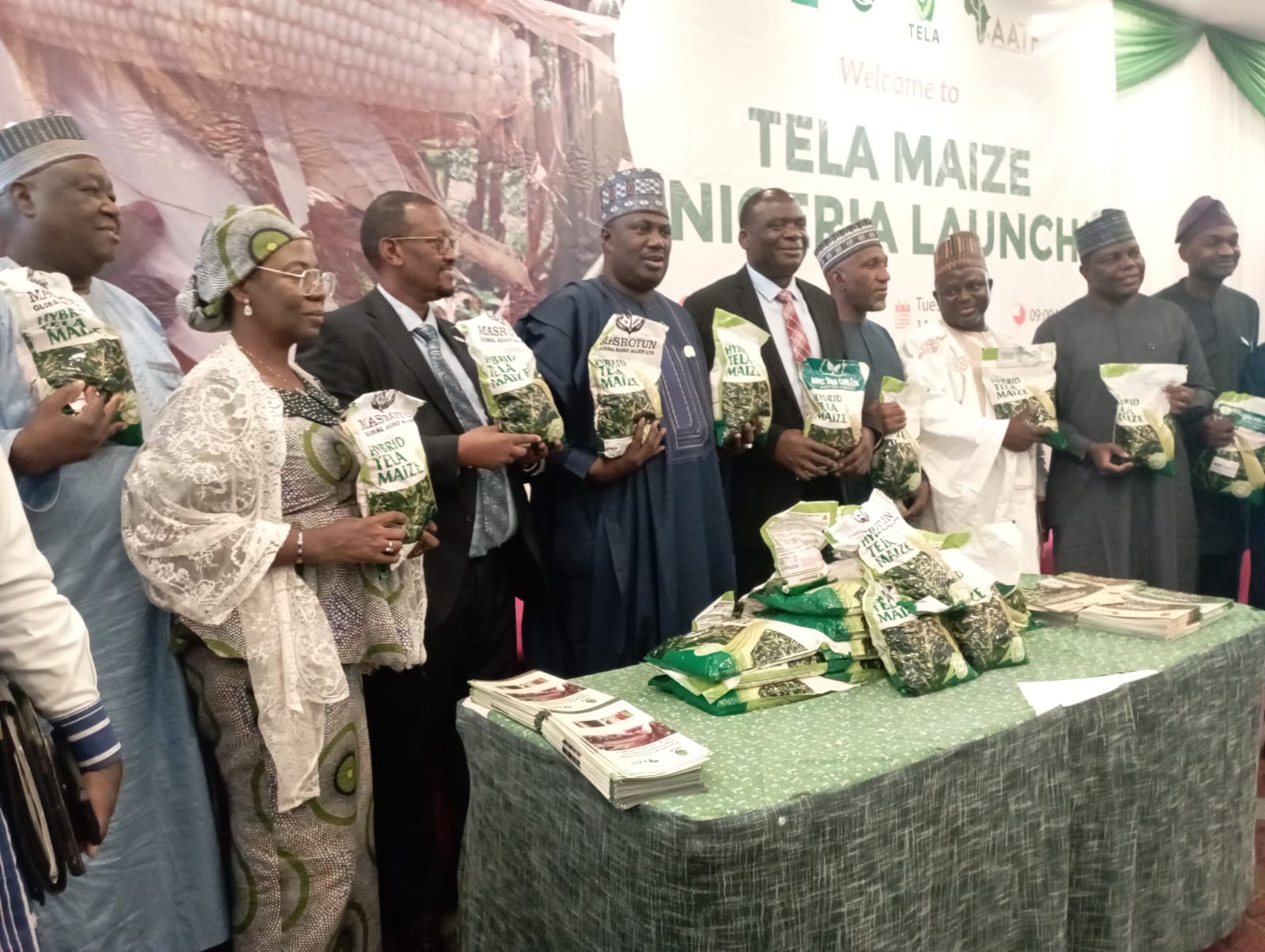 Milho biotecnologico gera ganhos na nigeria.jpeg