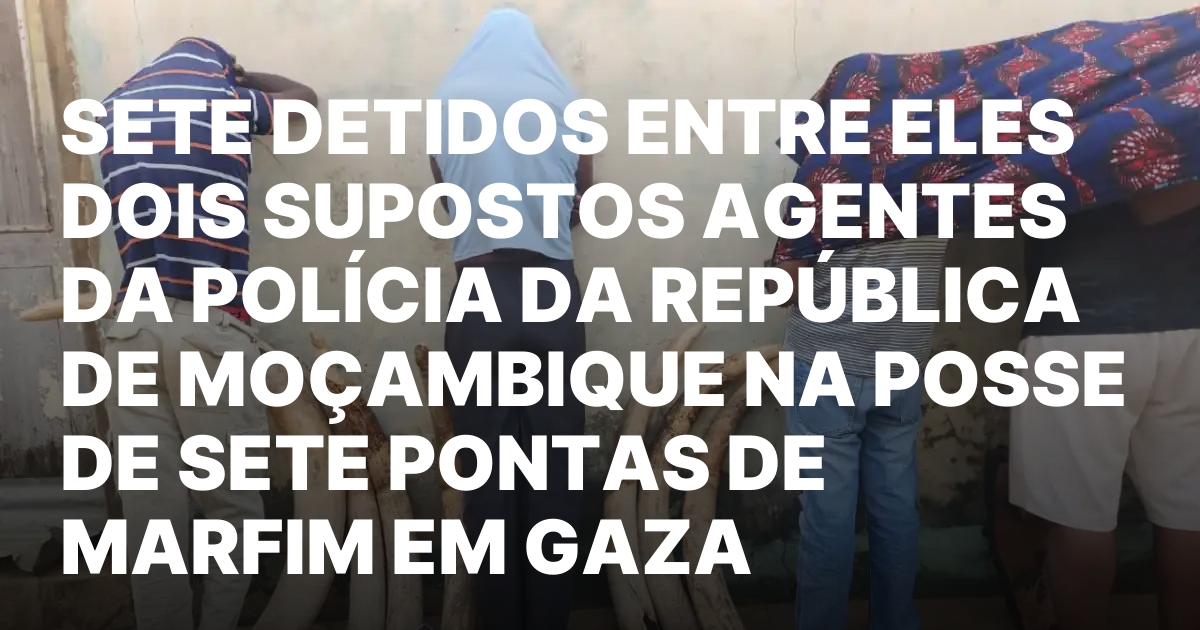 Sete detidos entre eles dois supostos agentes da policia da.jpeg