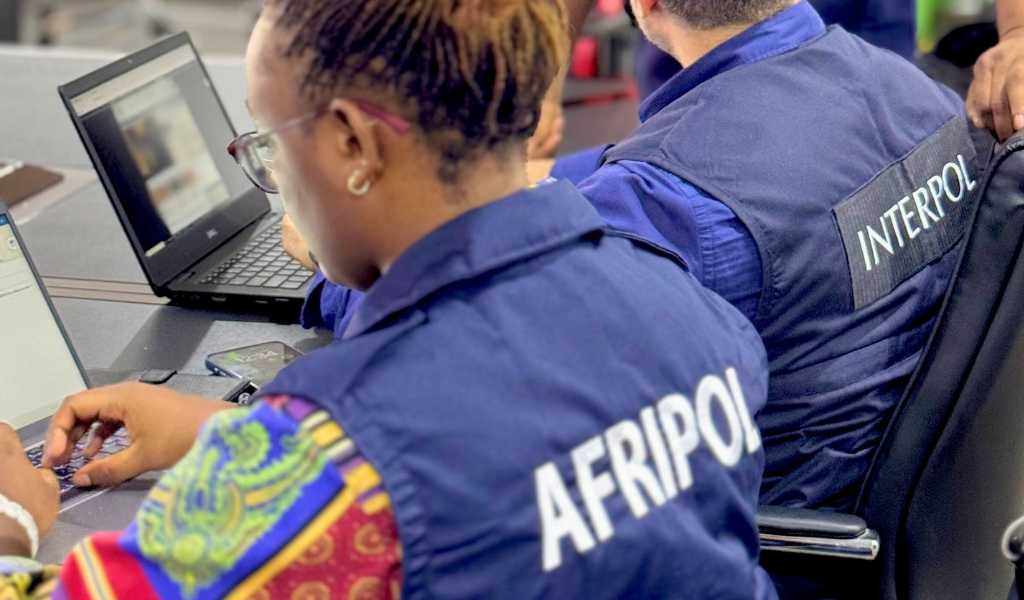A16064704c66 photo 1 afripol 1024x600 1.png