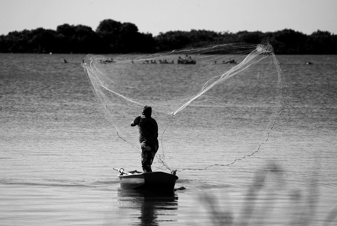 Mocambique perde 5 mil milhoes de meticais por ano devido.jpg