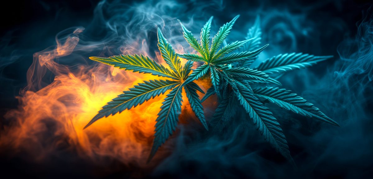 Vecteezy cannabis in vibrant smoke a vibrant cannabis plant 55200246 1 scaled.jpg