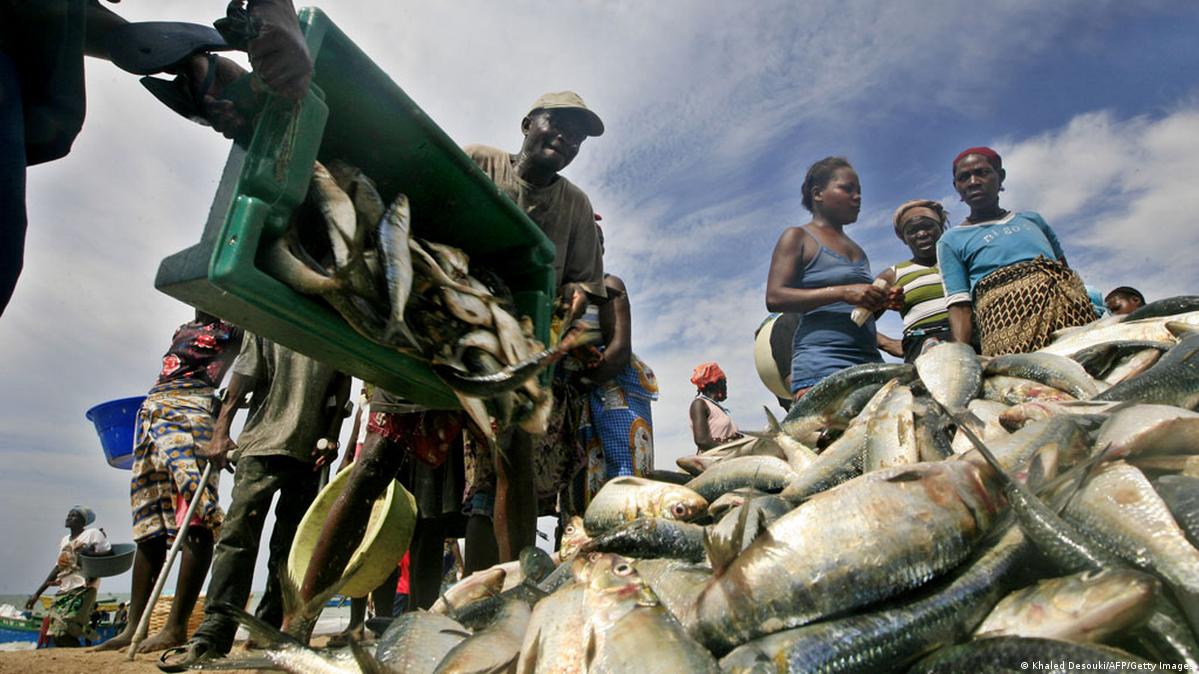 Estado perde anualmente 70 milhoes dolares devido a pesca ilegal.jpg