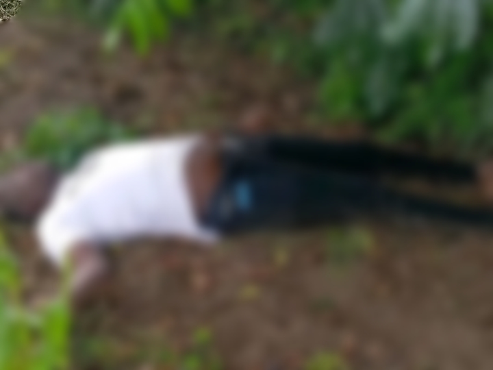 Img 20251231 072137.jpg