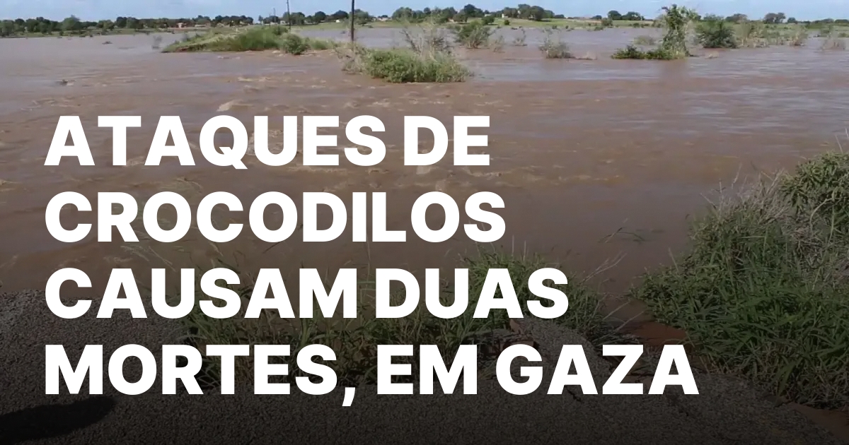 ATAQUES DE CROCODILOS CAUSAM DUAS MORTES EM GAZA.jpeg