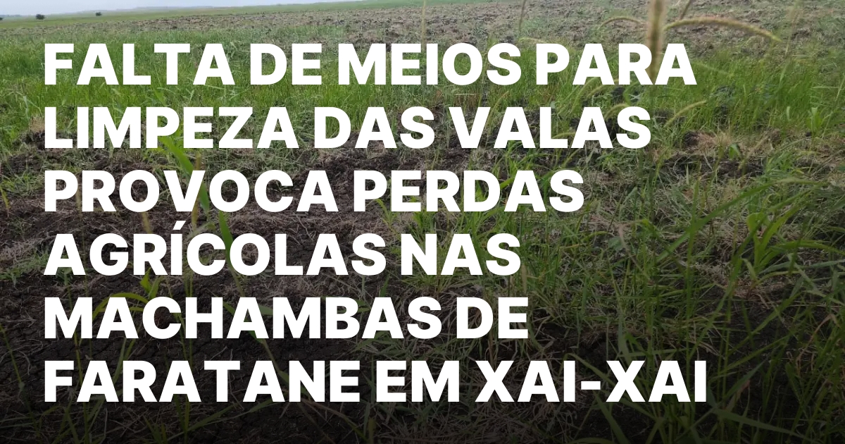 FALTA DE MEIOS PARA LIMPEZA DAS VALAS PROVOCA PERDAS AGRICOLAS.jpeg