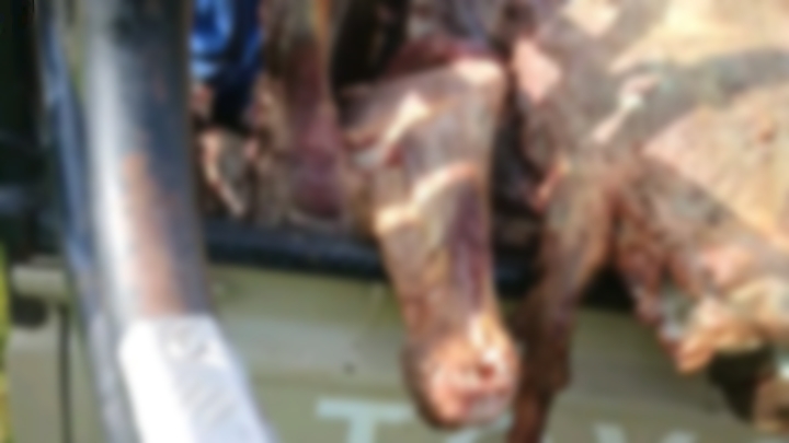 IMG 20260130 141730.jpg