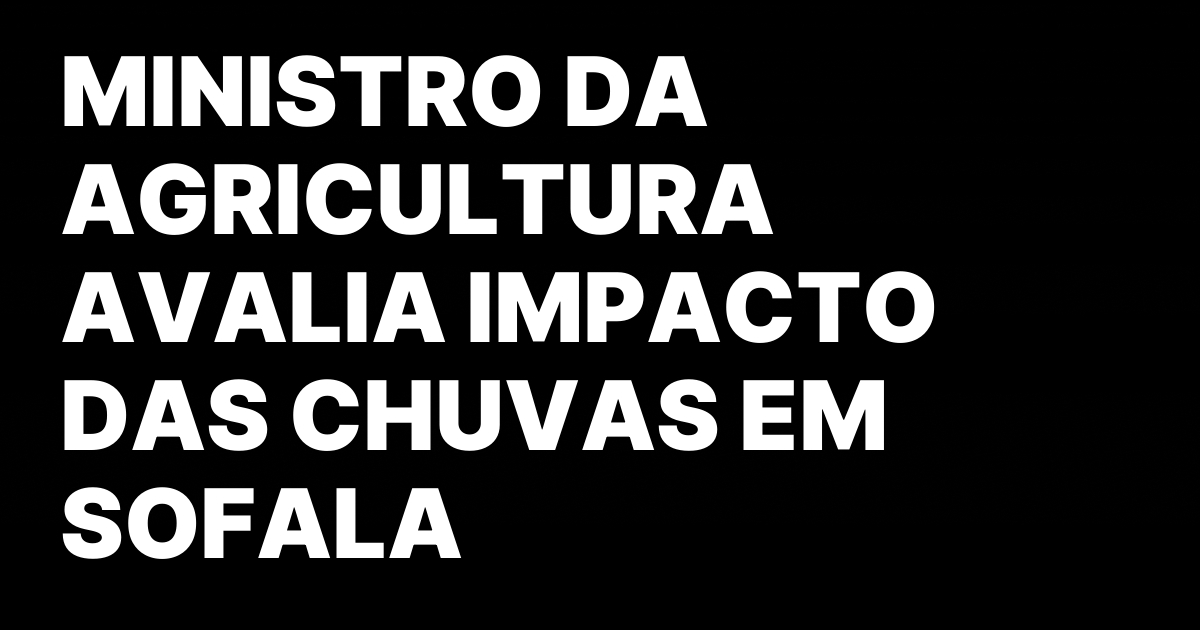 MINISTRO DA AGRICULTURA AVALIA IMPACTO DAS CHUVAS EM SOFALA.jpeg