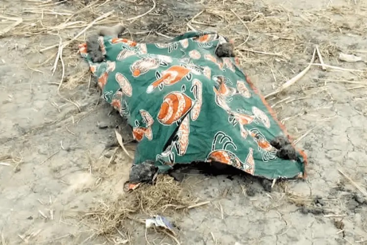 Sernic campanha de consciencializacao contra homicidios em inhambane.jpg