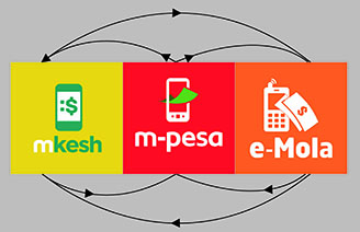 CARTEIRA MOVEL WEB.jpg
