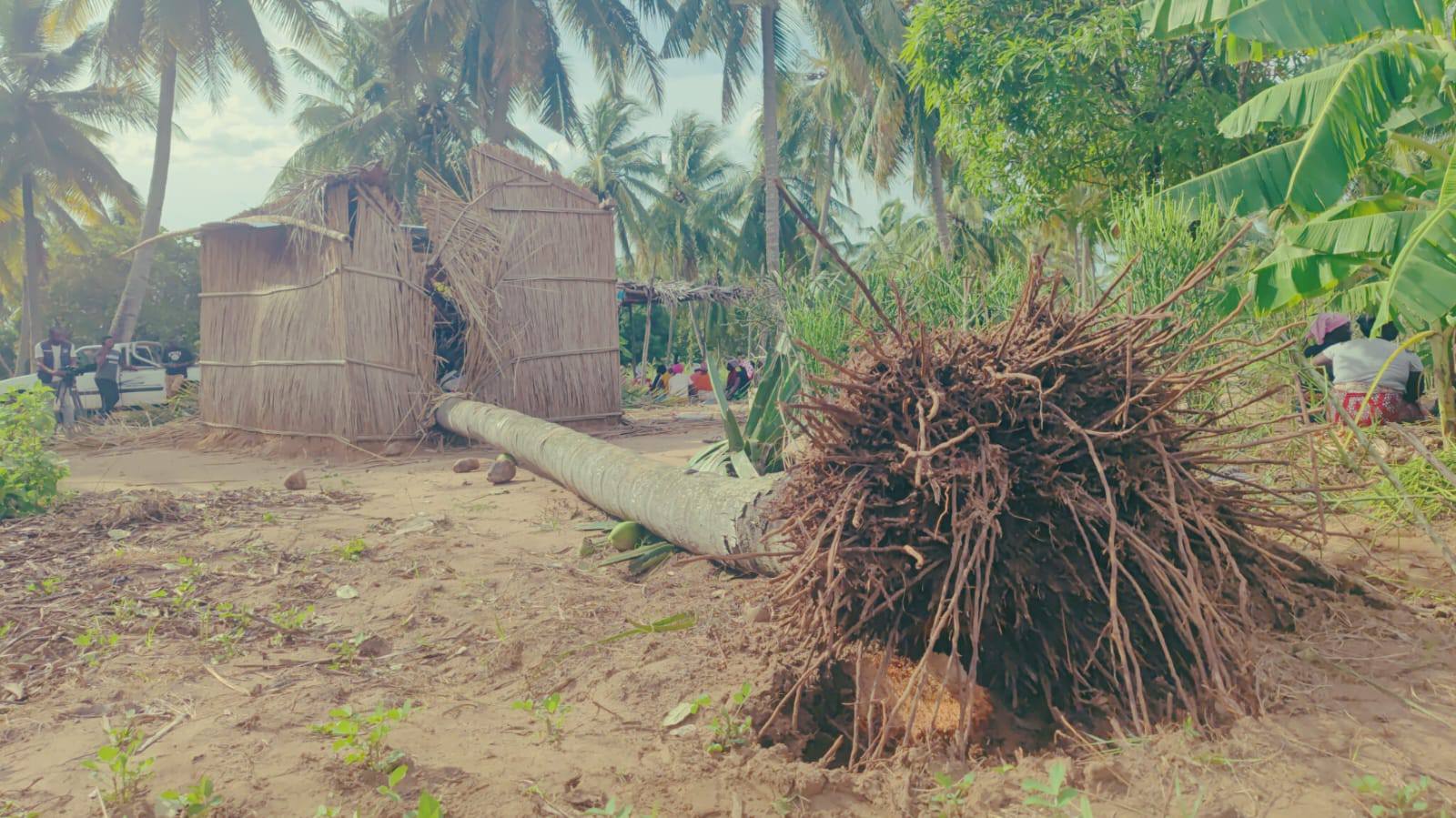 GEZANI Numero de afectados em Inhambane dispara de 500 para.jpg