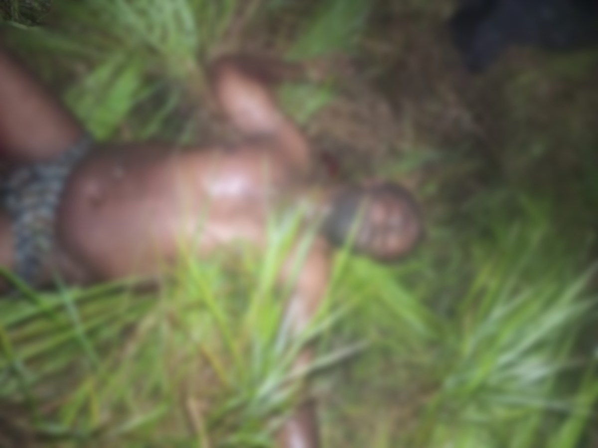 IMG 20260201 233641.jpg