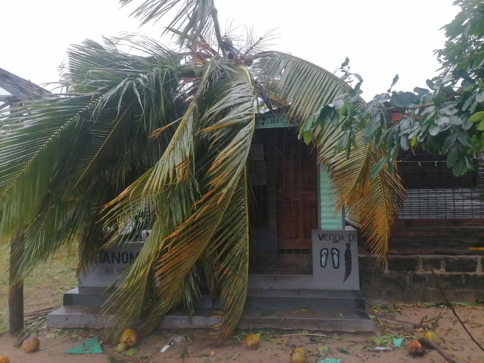 Inhambane Gezani deixa um rastro de destruicao.jpg