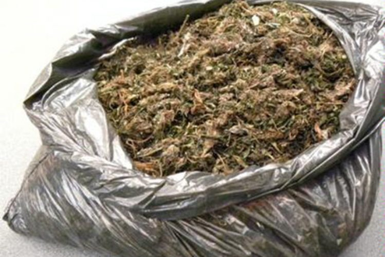 Maputo Policia apreende 120 embrulhos de suruma proveniente da Africa.png