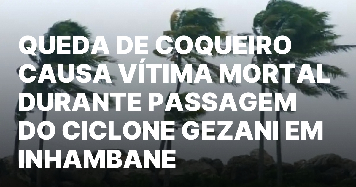 QUEDA DE COQUEIRO CAUSA VITIMA MORTAL DURANTE PASSAGEM DO CICLONE.jpeg