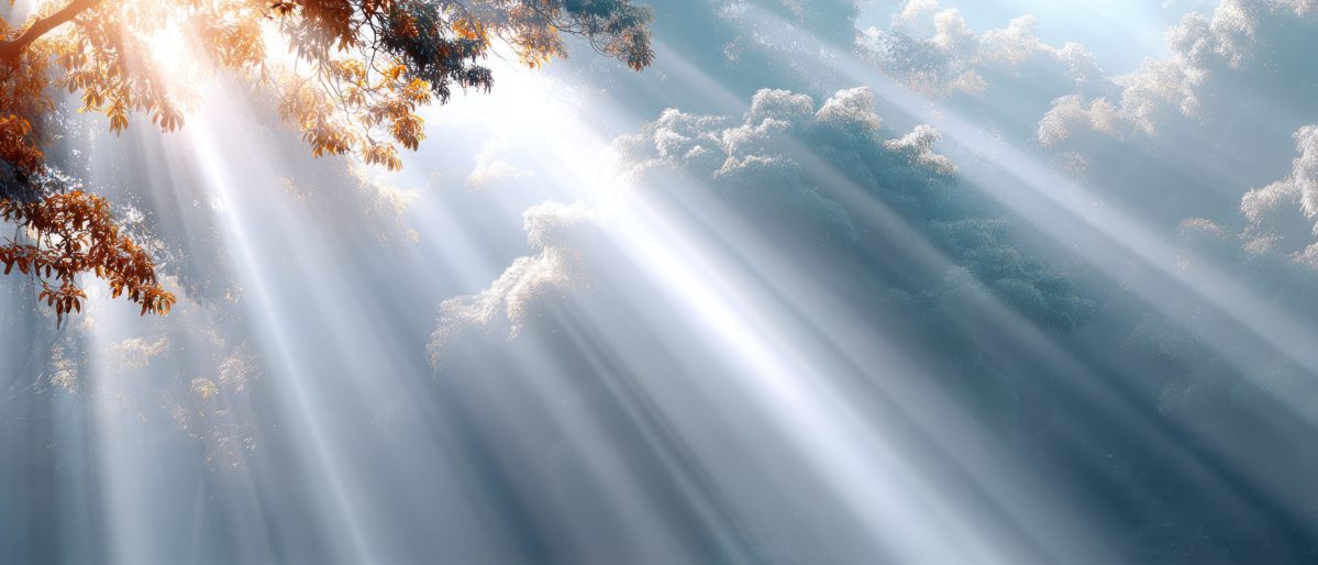 Vecteezy autumn landscape showcases soft rays of sunlight filtering 73839824 2 scaled.jpeg