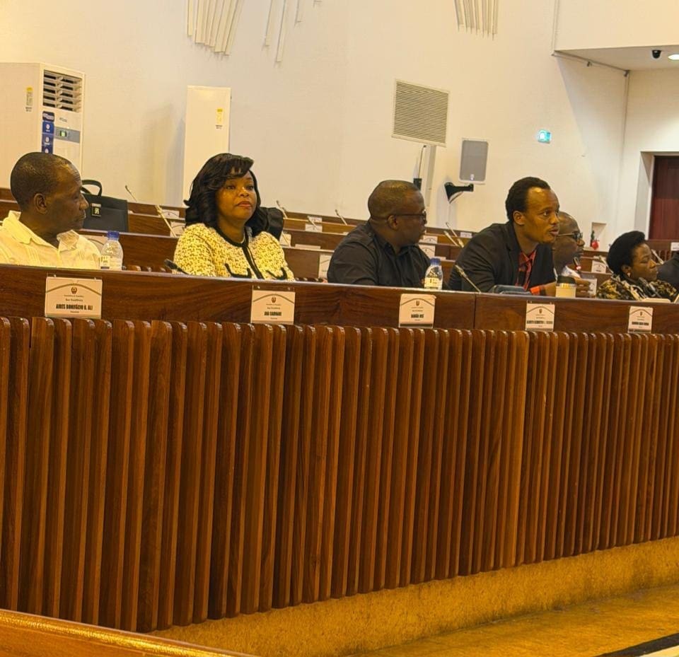 8a COMISSAO DA ASSEMBLEIA DA REPUBLICA AUSCULTA ENTIDADES DO GOVERNO.jpeg