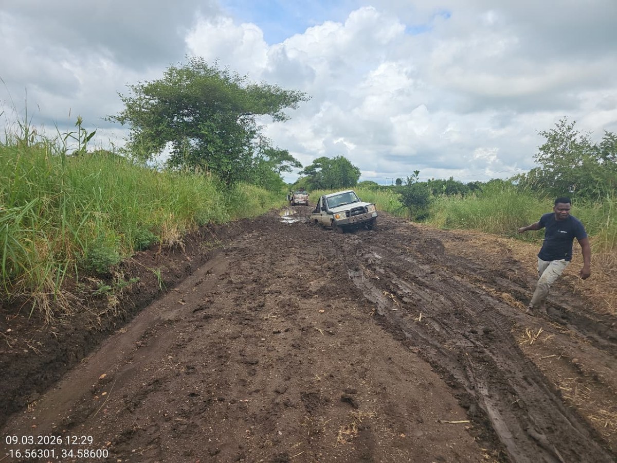 CHUVAS INTENSAS CONDICIONAM TRANSITABILIDADE EM ESTRADAS DE GAZA INHAMBANE E.jpeg