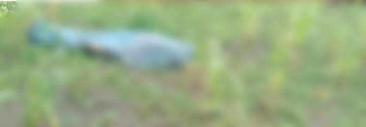 IMG 20260303 080209.jpg