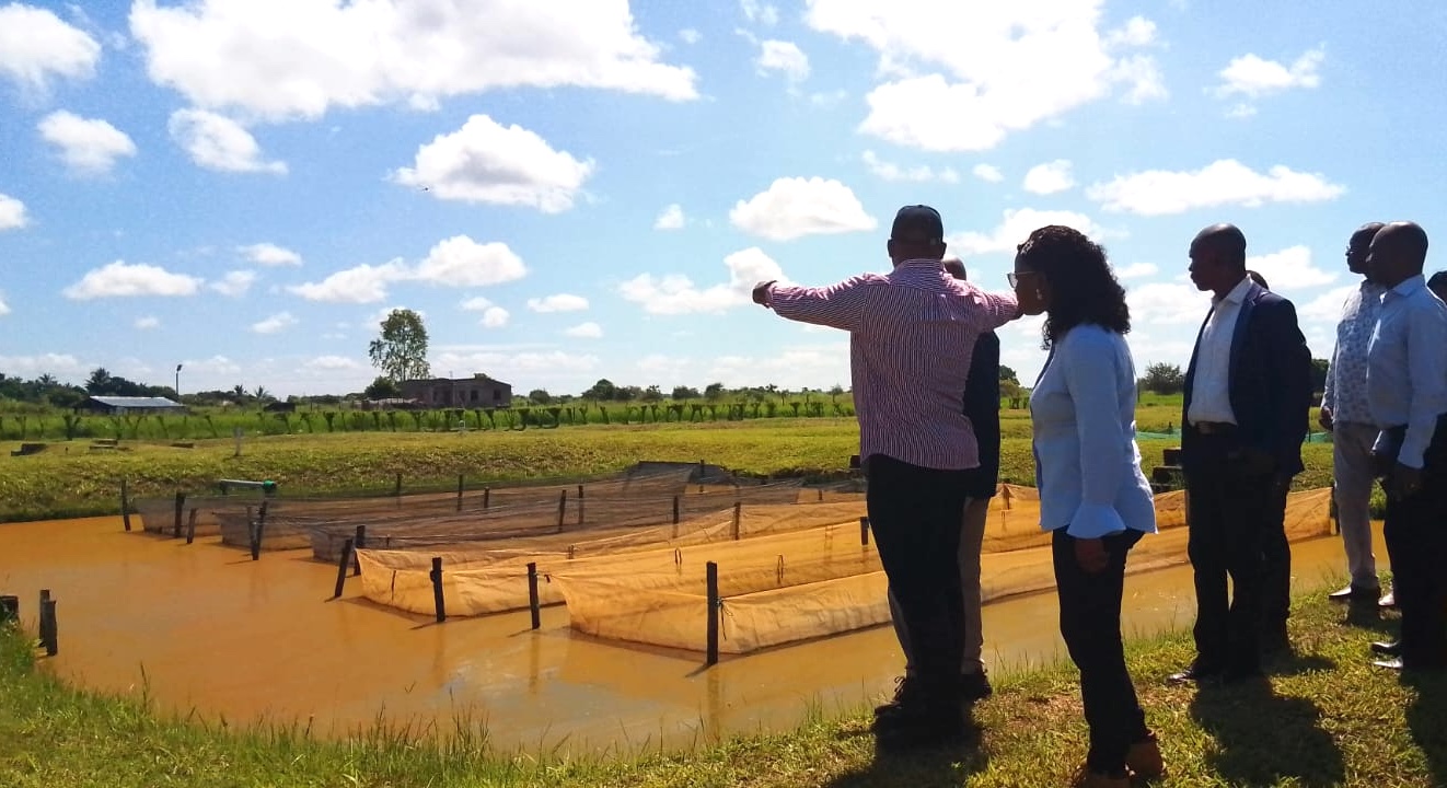 Investidos USD 120 milhoes em projectos de aquacultura.jpeg