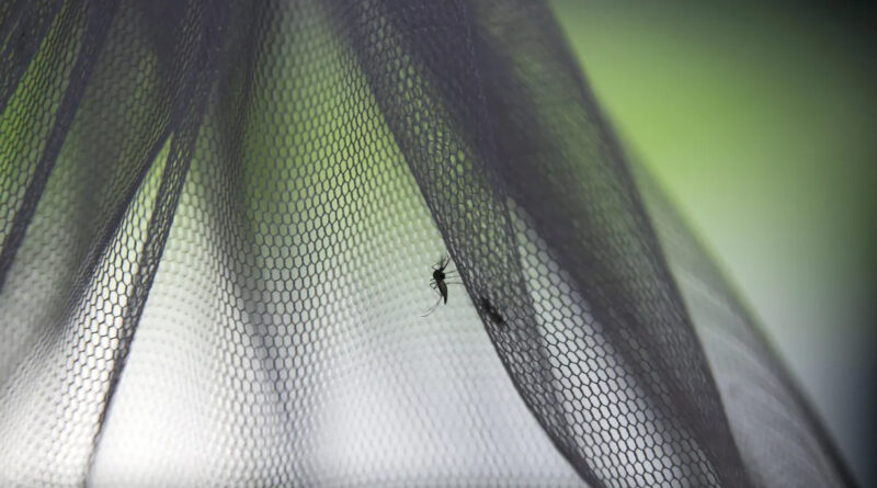 Mais de 200 mil casos de malaria resultam em 56.jpg