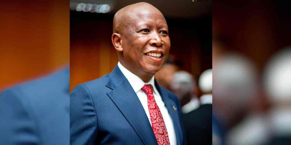 Malema at the East London Magistrates Court on Wednesday. Photo EFF X.jpg