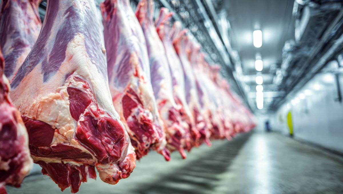 Vecteezy hanging meat cuts in a processing facility during the day 75720277 2 scaled.jpeg