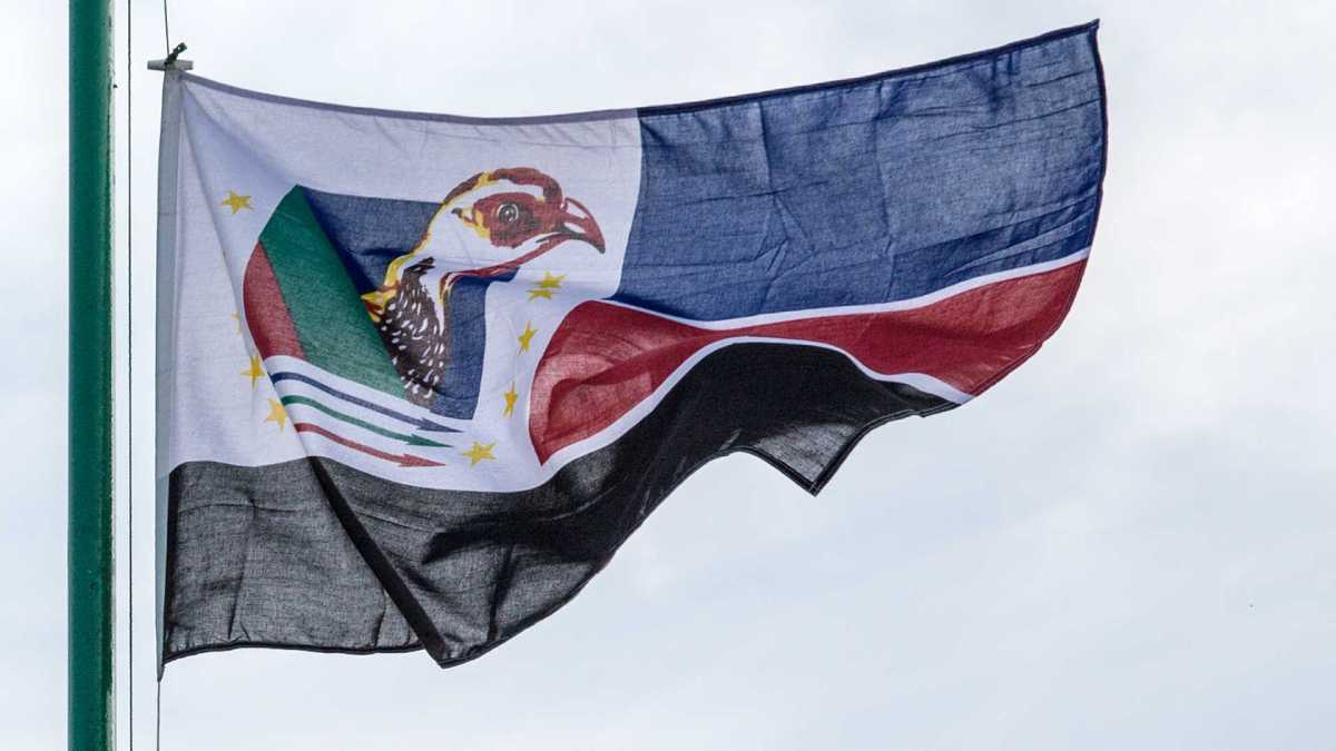 Renamo a4 1.jpg